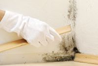 Schimmelbefall in einer Zimmerecke wird mit Schutzhandschuh untersucht
